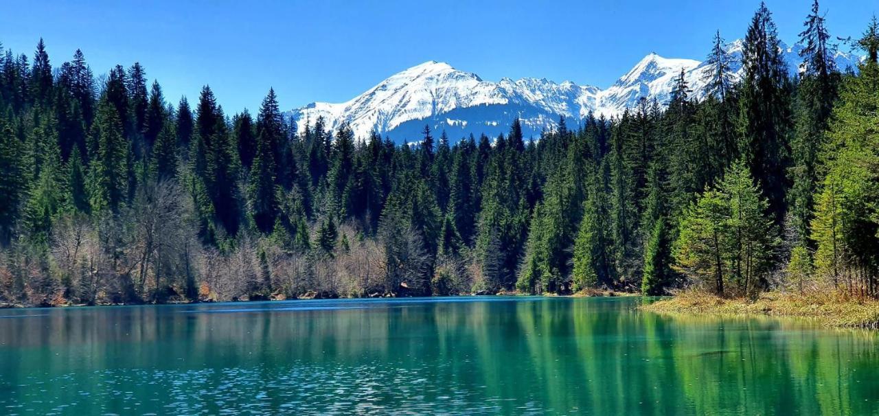 Stilvolle Ferienwohnung direkt an der Skipiste Flims Exterior foto